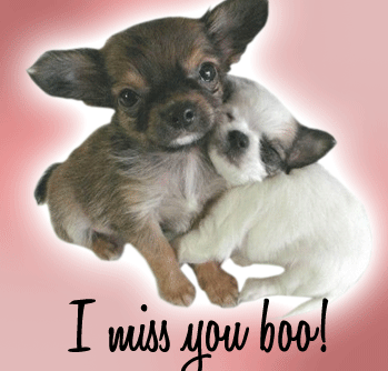 Miss-Puppies :: Miss You :: MyNiceProfile.com