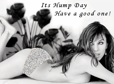 Days - Hump Day Comments Pictures
