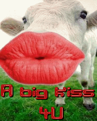Kiss Big