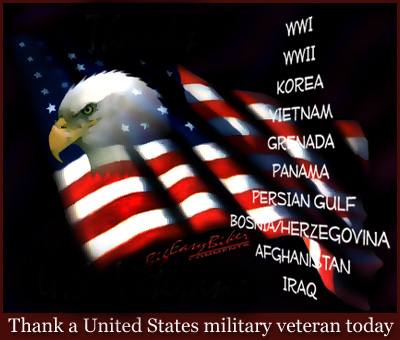 Thank a United States military veteran today :: Veterans Day