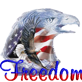 usa freedom